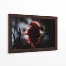 Petalos a la luz - Ana Zagal  | Cuadro decorativo de Canvas Lab