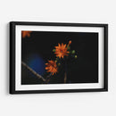 Flores en hora dorada - Ana Zagal  | Cuadro decorativo de Canvas Lab