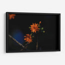 Flores en hora dorada - Ana Zagal  | Cuadro decorativo de Canvas Lab