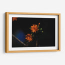 Flores en hora dorada - Ana Zagal  | Cuadro decorativo de Canvas Lab