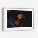 Flores en hora dorada - Ana Zagal  | Cuadro decorativo de Canvas Lab