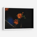 Flores en hora dorada - Ana Zagal  | Cuadro decorativo de Canvas Lab