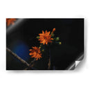 Flores en hora dorada - Ana Zagal  | Cuadro decorativo de Canvas Lab