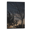 Siluetas doradas - Ana Zagal  | Cuadro decorativo de Canvas Lab