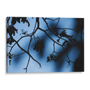 Registro de almas - Ana Zagal  | Cuadro decorativo de Canvas Lab