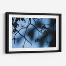 Registro de almas - Ana Zagal  | Cuadro decorativo de Canvas Lab