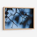 Registro de almas - Ana Zagal  | Cuadro decorativo de Canvas Lab