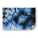 Registro de almas - Ana Zagal  | Cuadro decorativo de Canvas Lab