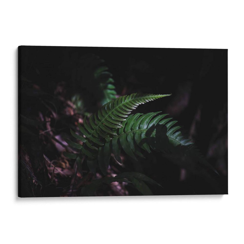 Susurros en verde - Ana Zagal  | Cuadro decorativo de Canvas Lab