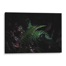 Susurros en verde - Ana Zagal  | Cuadro decorativo de Canvas Lab