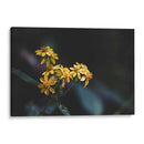 Murmullos dorados - Ana Zagal  | Cuadro decorativo de Canvas Lab