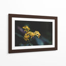 Murmullos dorados - Ana Zagal  | Cuadro decorativo de Canvas Lab
