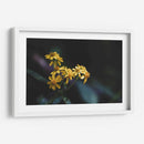 Murmullos dorados - Ana Zagal  | Cuadro decorativo de Canvas Lab