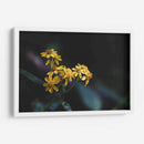 Murmullos dorados - Ana Zagal  | Cuadro decorativo de Canvas Lab