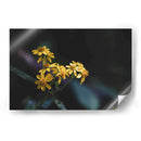 Murmullos dorados - Ana Zagal  | Cuadro decorativo de Canvas Lab