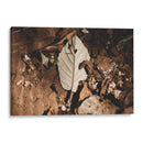 Restos en silencio - Ana Zagal  | Cuadro decorativo de Canvas Lab