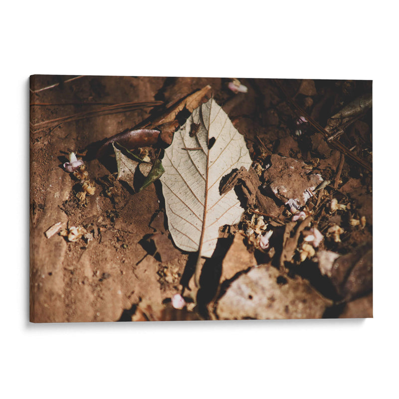 Restos en silencio - Ana Zagal  | Cuadro decorativo de Canvas Lab