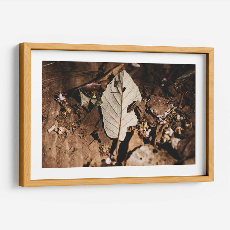 Restos en silencio - Ana Zagal  | Cuadro decorativo de Canvas Lab