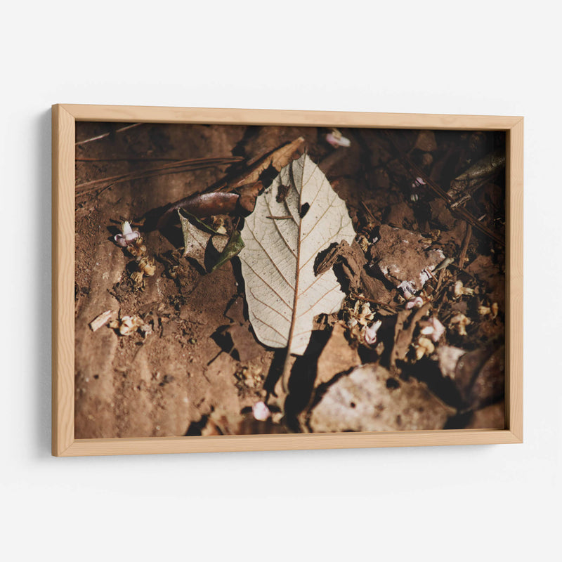 Restos en silencio - Ana Zagal  | Cuadro decorativo de Canvas Lab