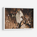 Restos en silencio - Ana Zagal  | Cuadro decorativo de Canvas Lab