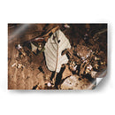 Restos en silencio - Ana Zagal  | Cuadro decorativo de Canvas Lab