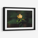 Flor solitaria - Ana Zagal  | Cuadro decorativo de Canvas Lab