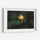 Flor solitaria - Ana Zagal  | Cuadro decorativo de Canvas Lab