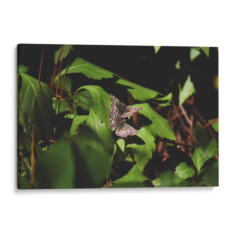 Unidas en vuelo - Ana Zagal  | Cuadro decorativo de Canvas Lab