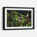 Unidas en vuelo - Ana Zagal  | Cuadro decorativo de Canvas Lab