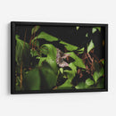 Unidas en vuelo - Ana Zagal  | Cuadro decorativo de Canvas Lab