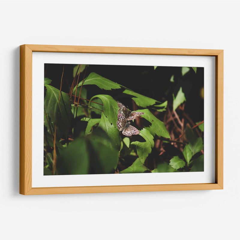 Unidas en vuelo - Ana Zagal  | Cuadro decorativo de Canvas Lab