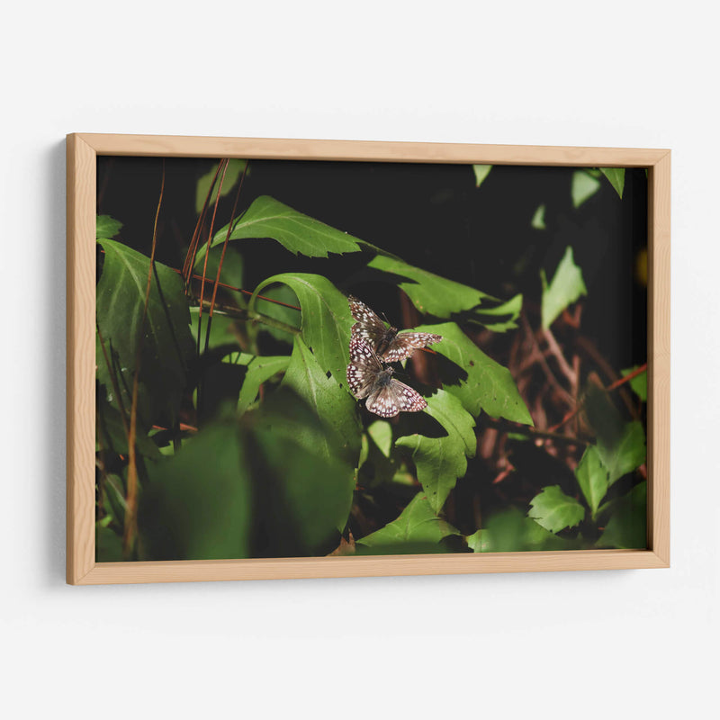 Unidas en vuelo - Ana Zagal  | Cuadro decorativo de Canvas Lab