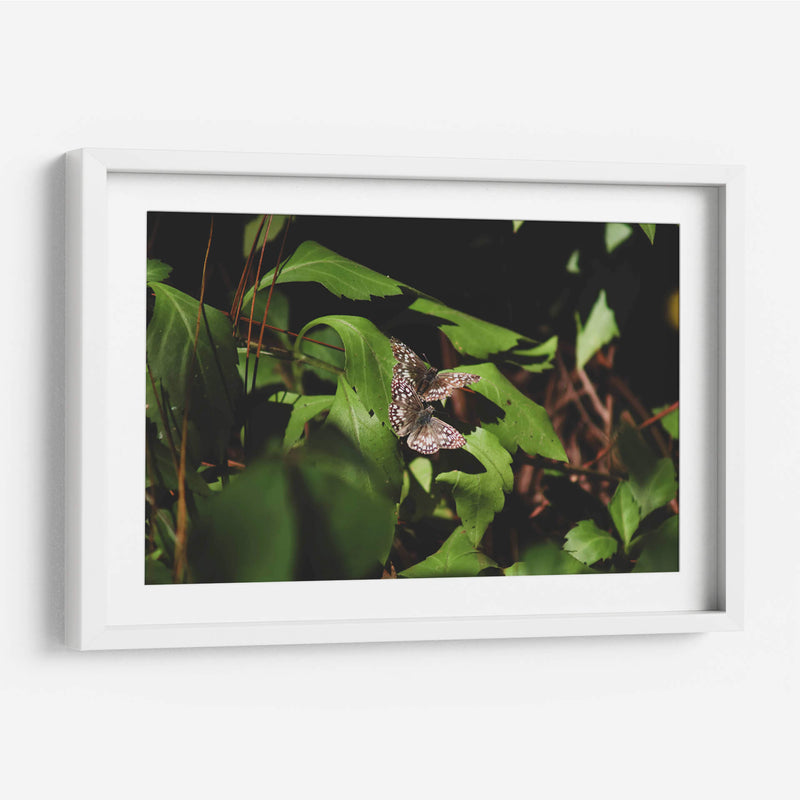 Unidas en vuelo - Ana Zagal  | Cuadro decorativo de Canvas Lab