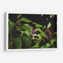 Unidas en vuelo - Ana Zagal  | Cuadro decorativo de Canvas Lab