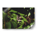 Unidas en vuelo - Ana Zagal  | Cuadro decorativo de Canvas Lab