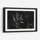 Sueños en lavanda - Ana Zagal  | Cuadro decorativo de Canvas Lab