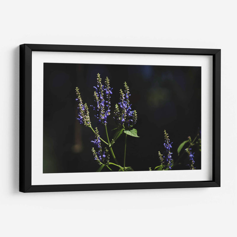 Sueños en lavanda - Ana Zagal  | Cuadro decorativo de Canvas Lab