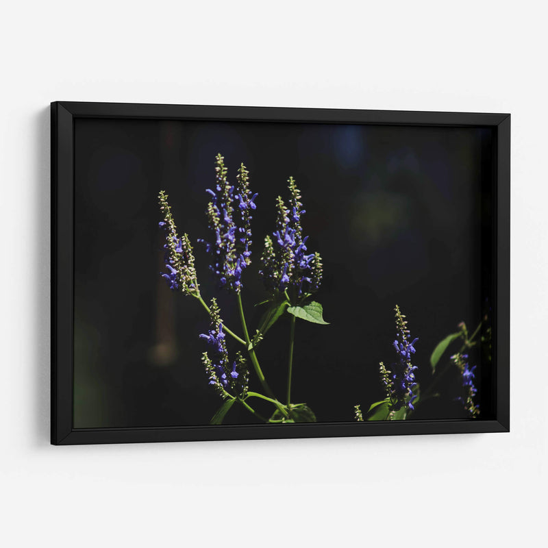 Sueños en lavanda - Ana Zagal  | Cuadro decorativo de Canvas Lab