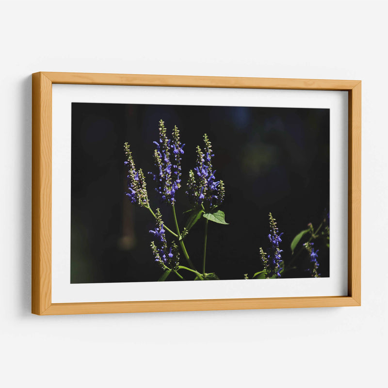 Sueños en lavanda - Ana Zagal  | Cuadro decorativo de Canvas Lab