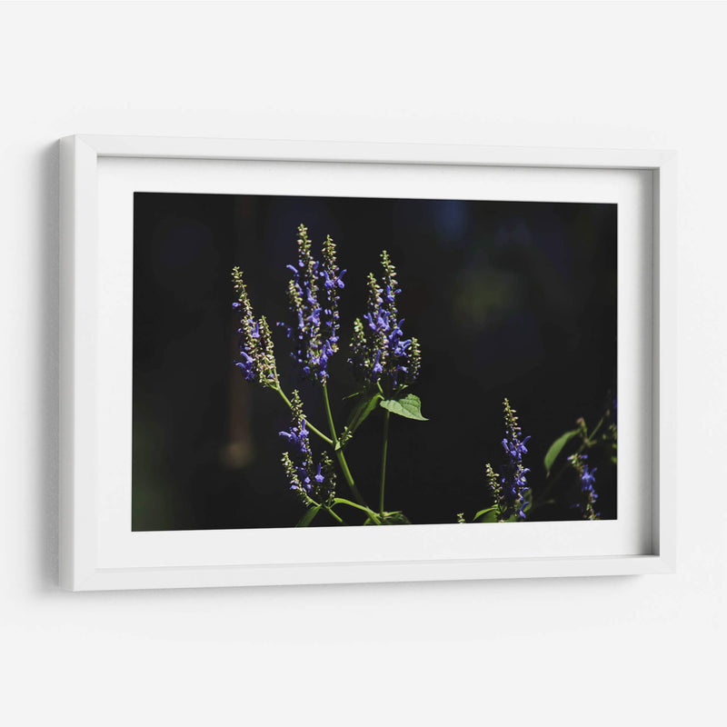 Sueños en lavanda - Ana Zagal  | Cuadro decorativo de Canvas Lab