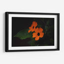 Estallido floral - Ana Zagal  | Cuadro decorativo de Canvas Lab