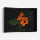 Estallido floral - Ana Zagal  | Cuadro decorativo de Canvas Lab