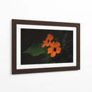 Estallido floral - Ana Zagal  | Cuadro decorativo de Canvas Lab