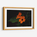 Estallido floral - Ana Zagal  | Cuadro decorativo de Canvas Lab