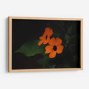 Estallido floral - Ana Zagal  | Cuadro decorativo de Canvas Lab