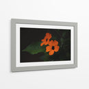 Estallido floral - Ana Zagal  | Cuadro decorativo de Canvas Lab