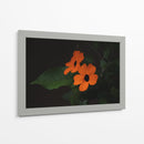 Estallido floral - Ana Zagal  | Cuadro decorativo de Canvas Lab