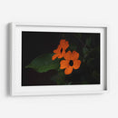 Estallido floral - Ana Zagal  | Cuadro decorativo de Canvas Lab