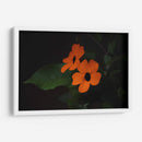 Estallido floral - Ana Zagal  | Cuadro decorativo de Canvas Lab