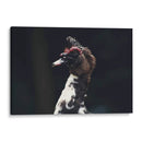 Porte silvestre - Ana Zagal  | Cuadro decorativo de Canvas Lab